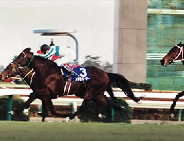 メジロラモーヌ | LAKE VILLA FARM