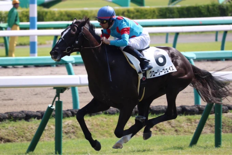 グローリーヴェイズという名前の馬