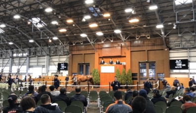 ノーザンファーム繁殖牝馬セールでのご購買ありがとうございました