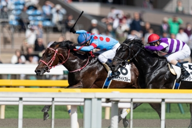 生産馬 ベイサイドブルー号優勝