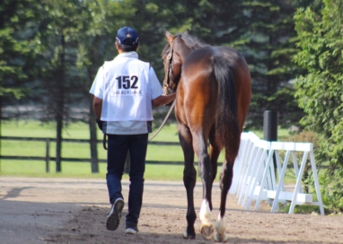 2018産駒　完売御礼