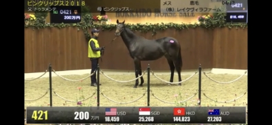 HBAオータムセール有難うございました