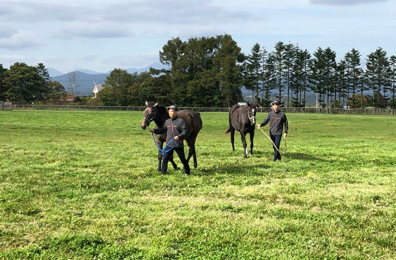 正社員募集について