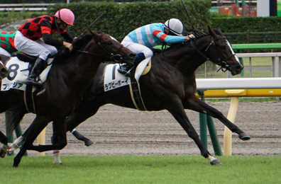 生産馬 ラグビーボーイ号優勝