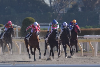 生産馬 コウソクスピード号優勝