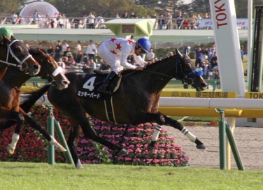 生産馬 ミッキーバード号優勝