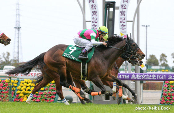 コウソクストレート