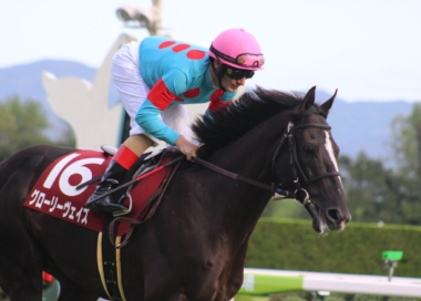 生産馬グローリーヴェイズ号が香港ヴァーズの招待を受諾