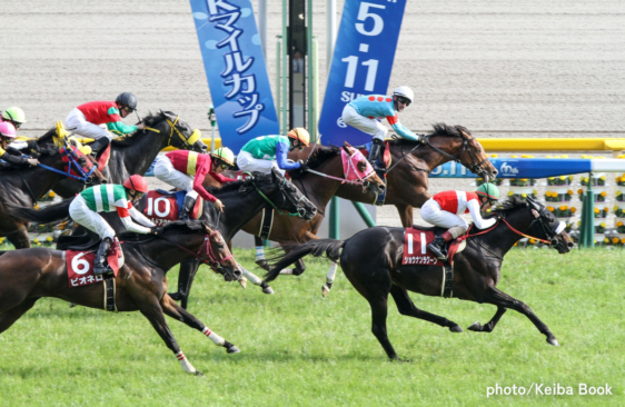 ショウナンラグーン