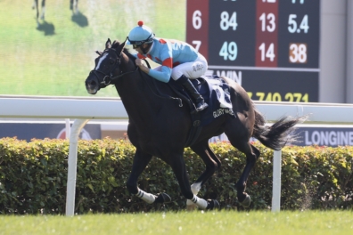生産馬グローリーヴェイズ号が、クイーンエリザベス2世カップの招待を受諾。