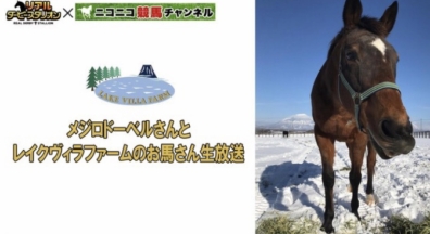 ニコ生にメジロドーベルが登場します