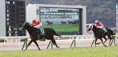 トリオンフ号の引退とレイクヴィラファームでの繋養について