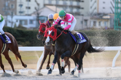 生産馬 アドマイヤムテキ号 名古屋記念(SP1)優勝