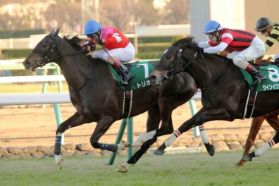 生産馬 トリオンフ号 中山金杯(G3)優勝