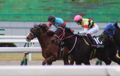 生産馬 クライムメジャー号 優勝