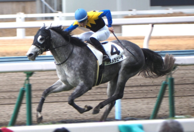 生産馬 カヌメラビーチ号優勝