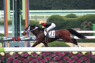 生産馬 シホノフォルテ号優勝