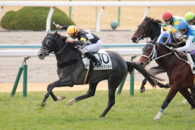 生産馬 ハナビマンカイ号優勝