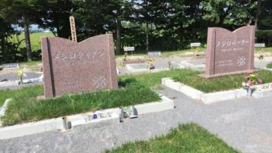 牧場見学とお墓参りについて