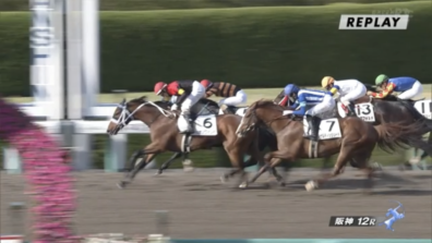 生産馬 シホノフォルテ号優勝