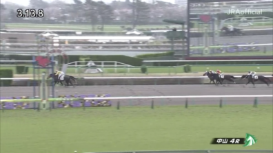 生産馬 ノーザンクリス号優勝