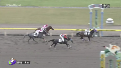 生産馬 セイウンヒロイン号 優勝