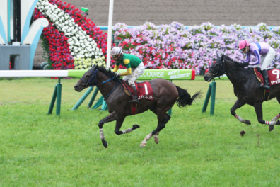 生産馬 スズカプレスト号 京都ハイジャンプ(J・G2)優勝