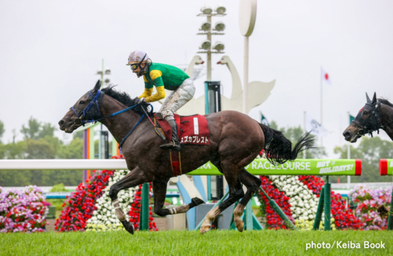 スズカプレスト