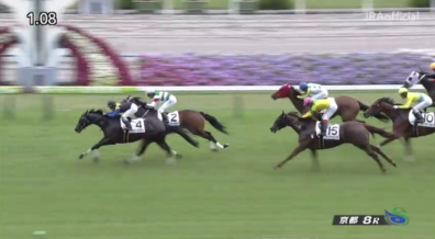 生産馬 ジョニーズララバイ号優勝