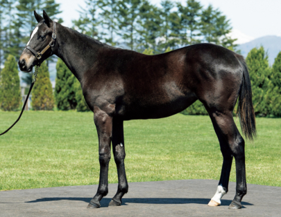 インザオベーション