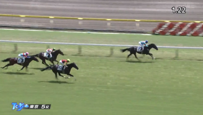 生産馬 クールキャット号優勝