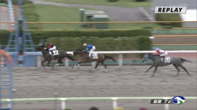 生産馬 ホウオウヒミコ号 優勝