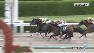 生産馬 ダノンスプレンダー号優勝