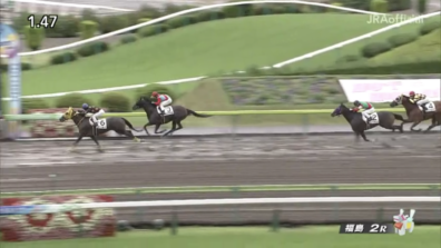 生産馬 ズールー号優勝