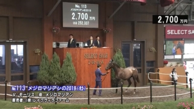 JRHAセレクトセールありがとうございました。