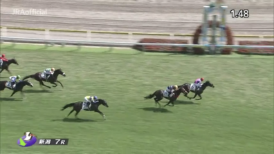 生産馬 ミスミルドレッド号優勝