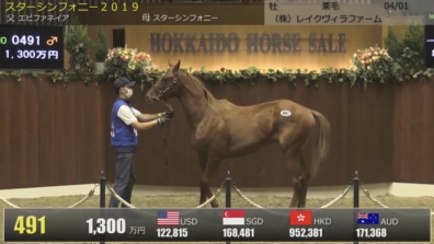 HBAサマーセールありがとうございました。