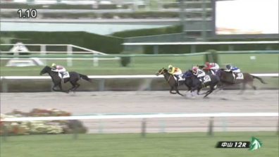 生産馬 コウソクスピード号優勝