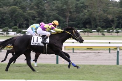 生産馬 フジマサリアル号優勝