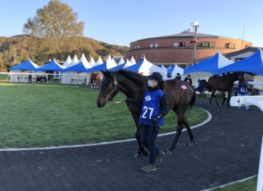 HBAオータムセールありがとうございました。