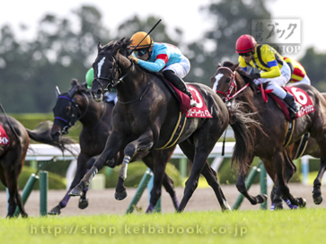 生産馬 グローリーヴェイズ号 京都大賞典(G2)優勝