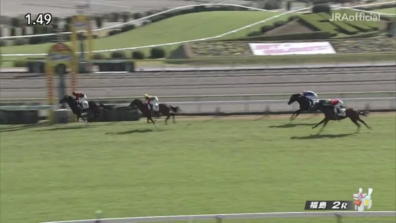 生産馬 ホウオウイクセル号 優勝