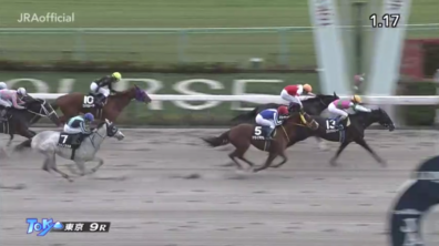 生産馬 コウソクスピード号優勝