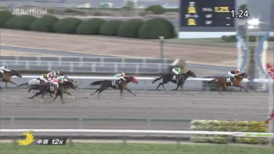 生産馬 シホノレジーナ号優勝