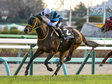生産馬 ルトロヴァイユ号優勝