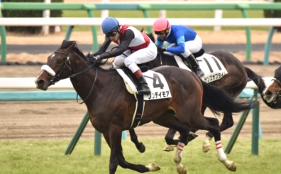 生産馬 ワンデイモア号優勝