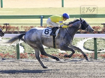 生産馬 ロークアルルージュ号優勝