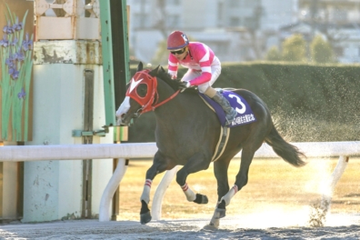 生産馬 アドマイヤムテキ号 名古屋記念(SP1)優勝