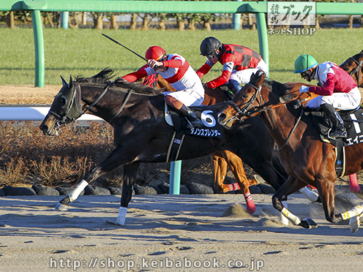 生産馬 ダノンスプレンダー号優勝