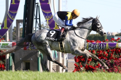 生産馬 カヌメラビーチ号 優勝